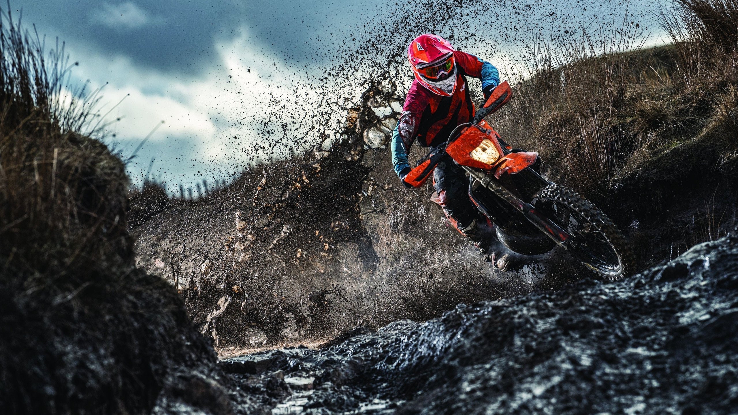 国家冰雪项目研究院公告国际合作项目进展,国家冰雪运动中心